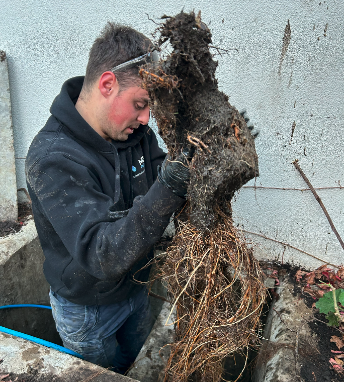 pulling blocked drains out
